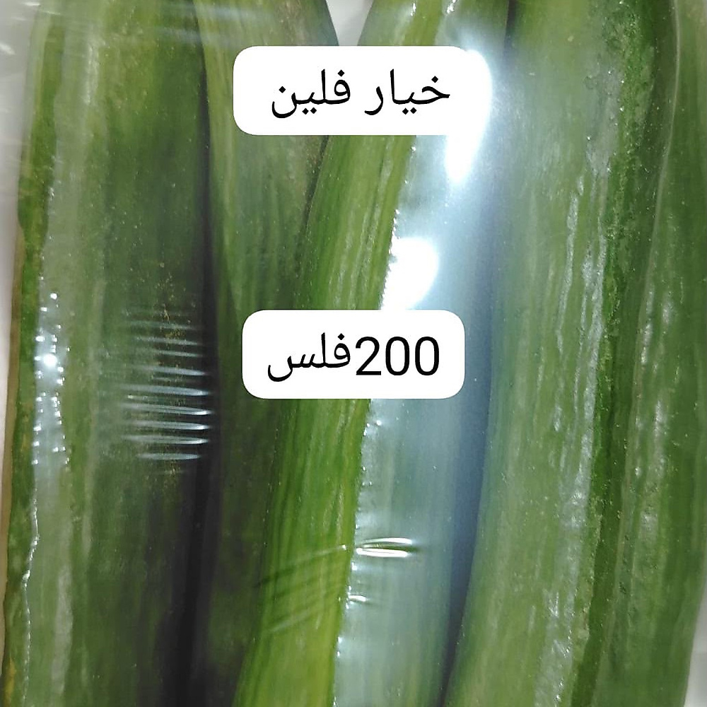 خيار  فلين    ( عرض )