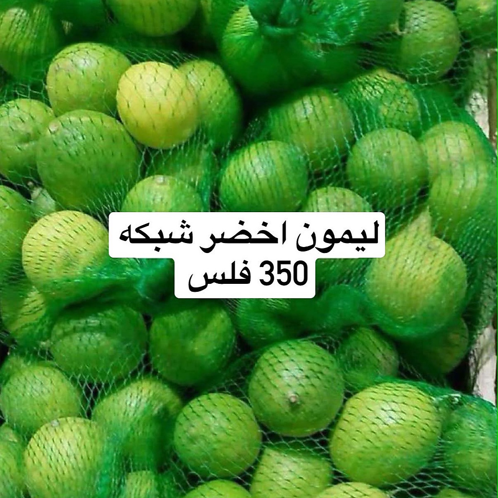 Lemon Basket
