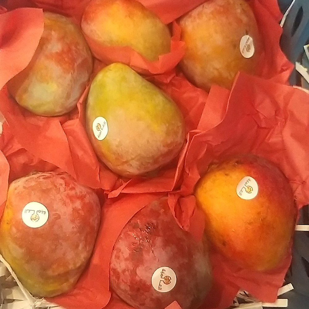 mango