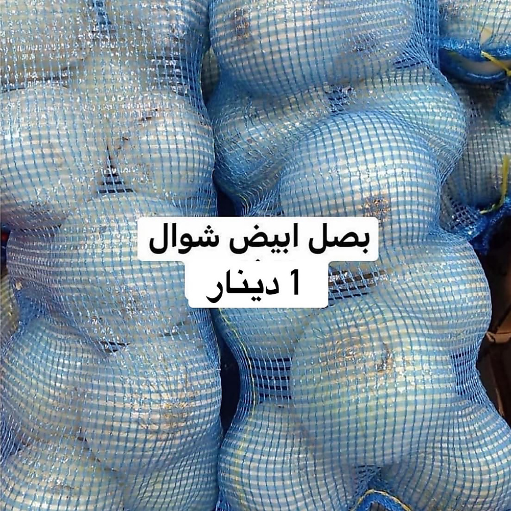 بصل ابيض  شوال