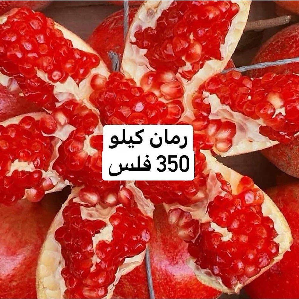 Pomegranate, Large