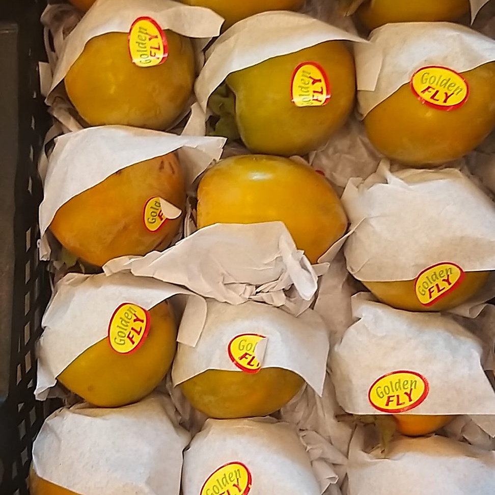 كاكا سله