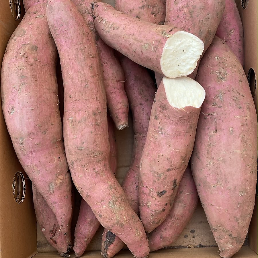 بطاطا حلوه بيضاء كرتون