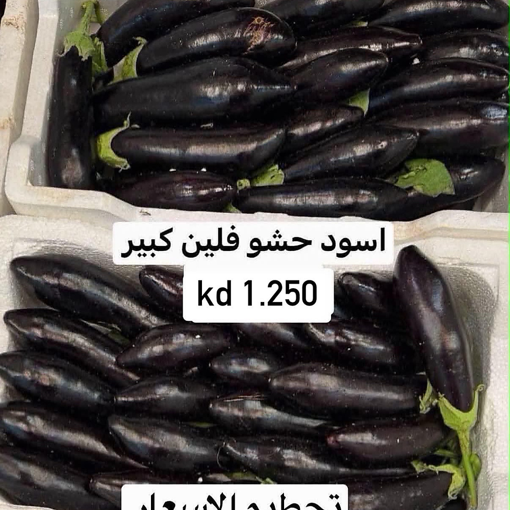 باذنجان اسود حشو  فلين