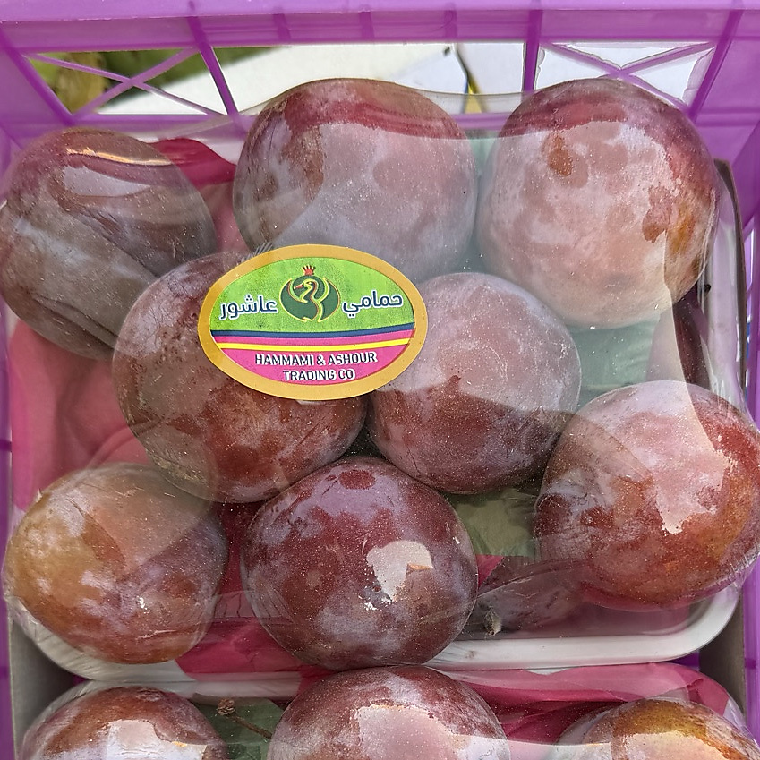 كوجا احمر   علبه