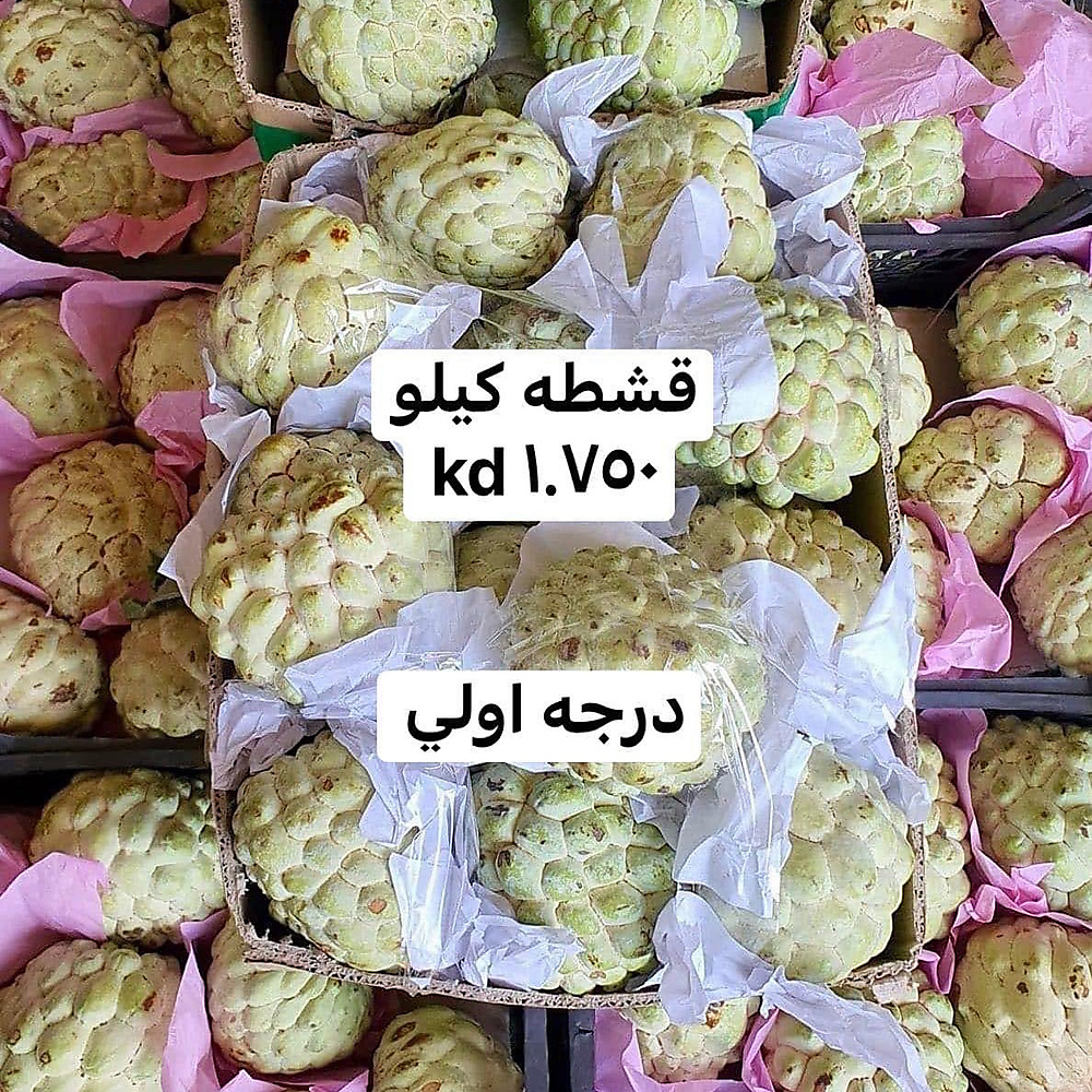قشطه كيلو