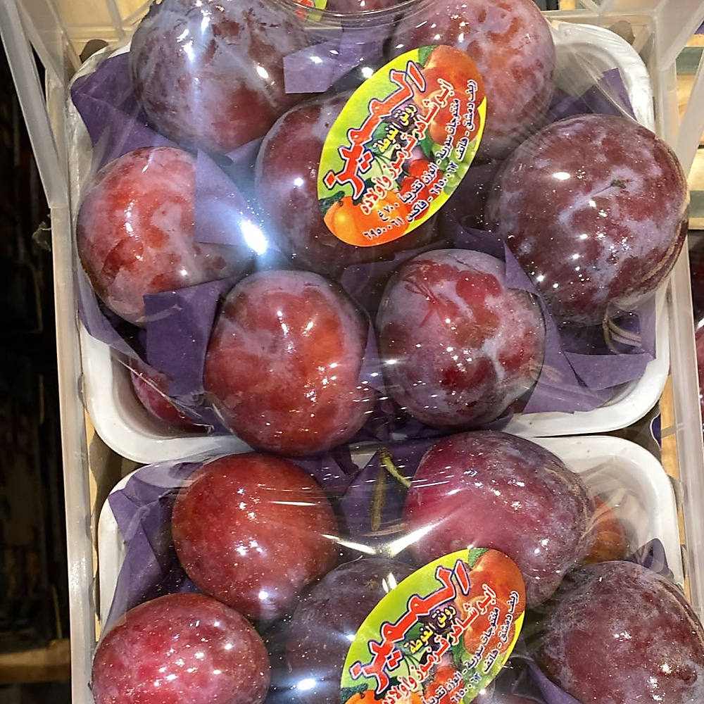 كوجا احمر  علبه