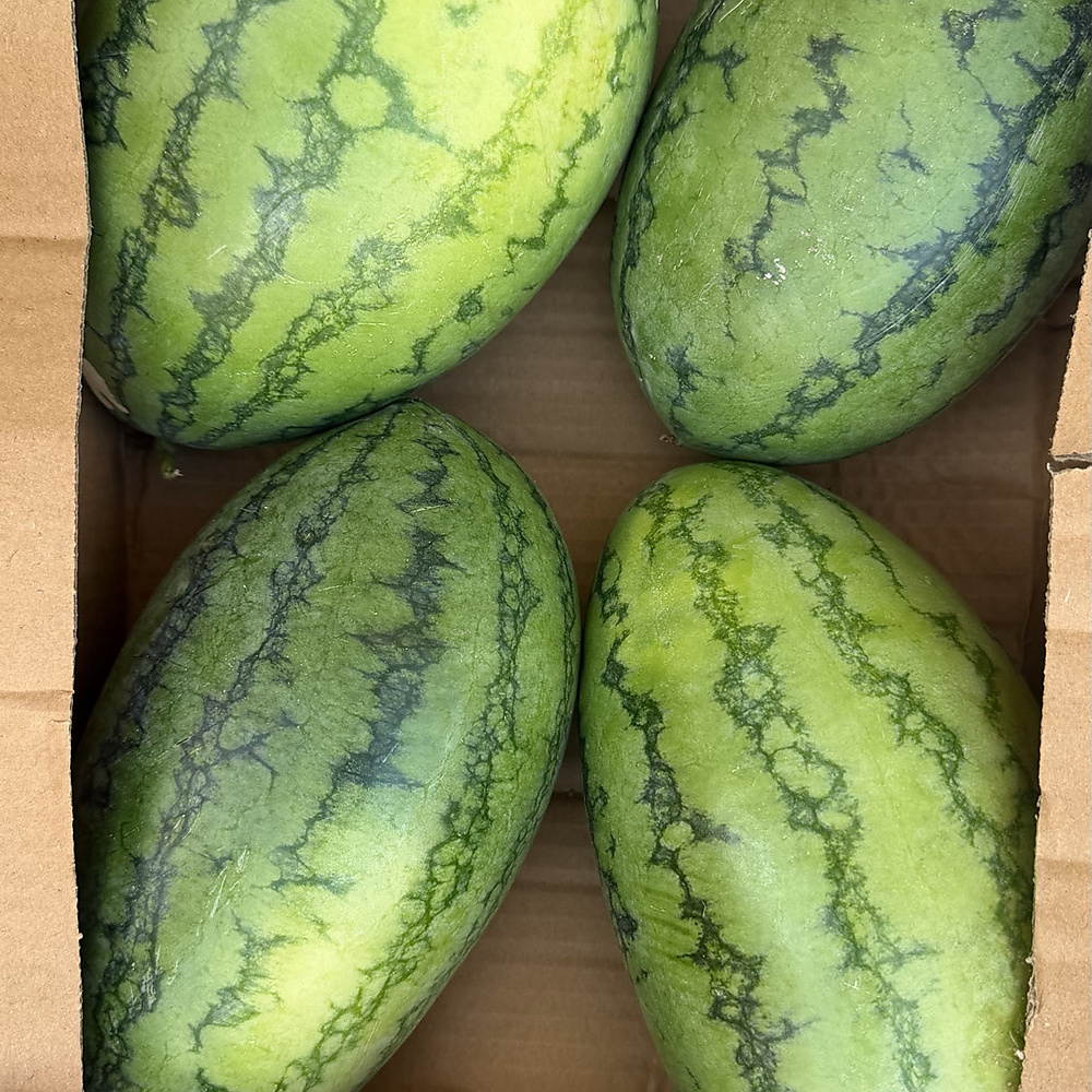 بطيخ اصفر   كرتون