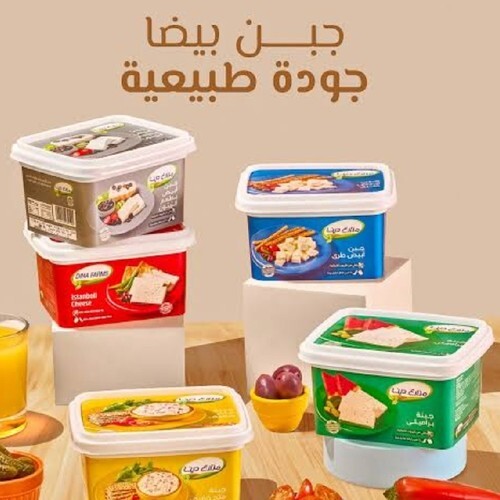 جبنة بيضا ( مزارع دينا) ٤٥٠ جرام