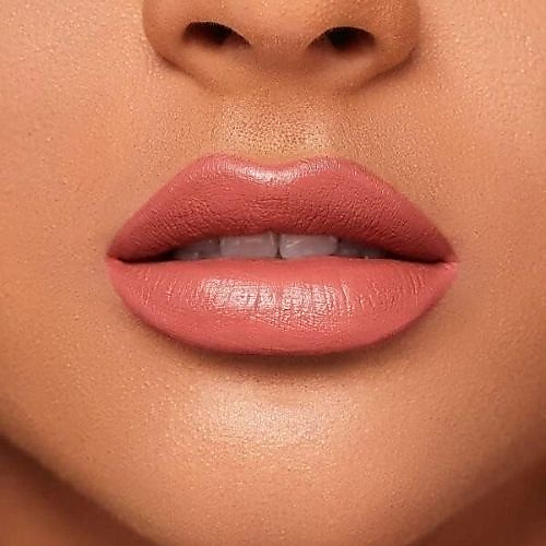 Shiglam Liquid Lipstick in Private Tour