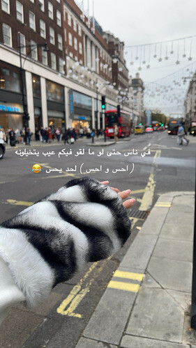 Set with fur white blouse and pant