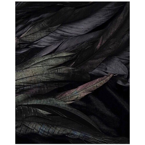 فستان مخمل اسود قصير