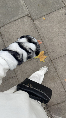 Set with fur white blouse and pant