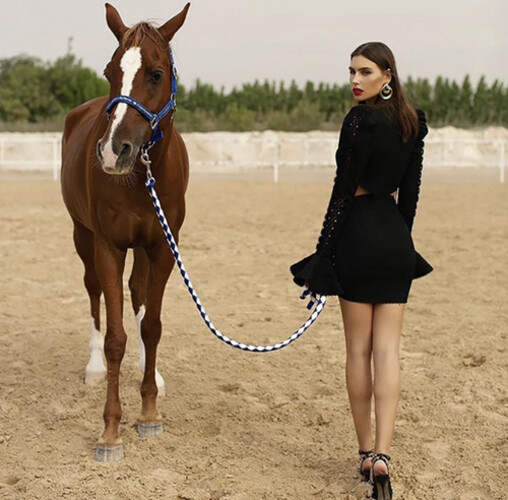 فستان اسود مع اكمام طويله