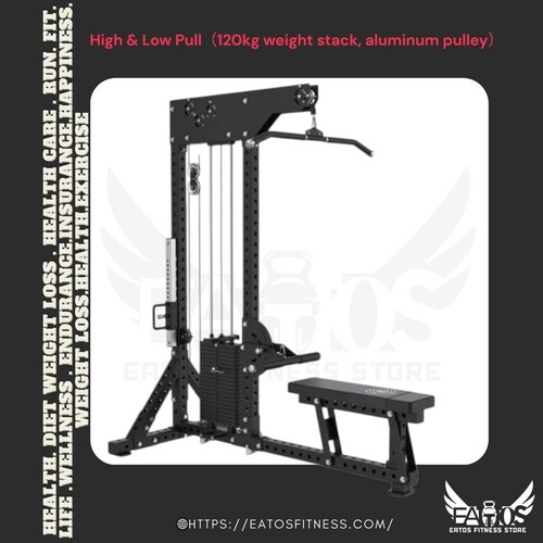 Low Row+ Lat Pull Dow