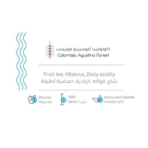 كولومبيا اوغستينو فوريست