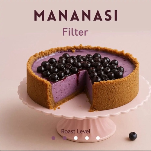 ماناناسي-فلتر 250 جرام