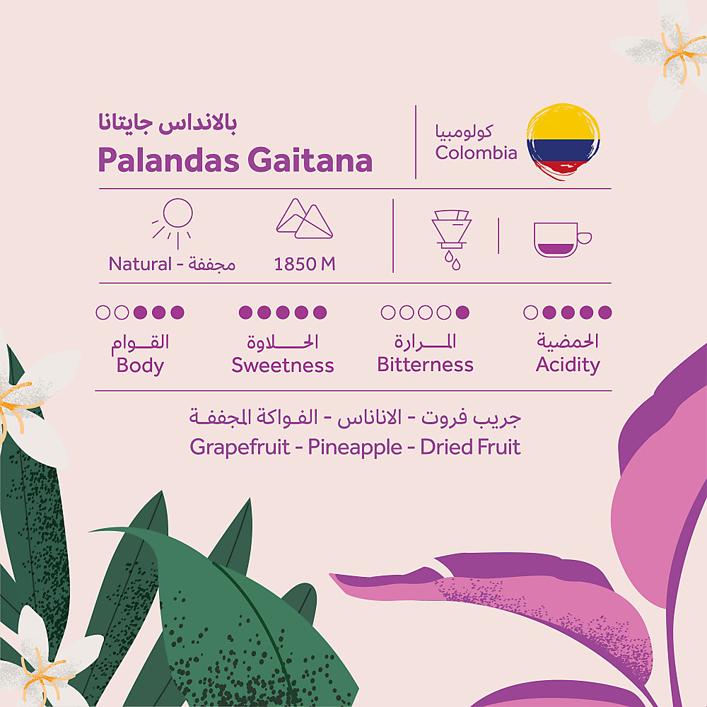 بلانداس جايتانيا- Palandas Gaitana
