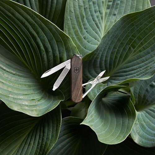 VICTORINOX CLASSIC SD WOOD  0.6221.63