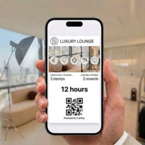 Studio Multipass - Silver