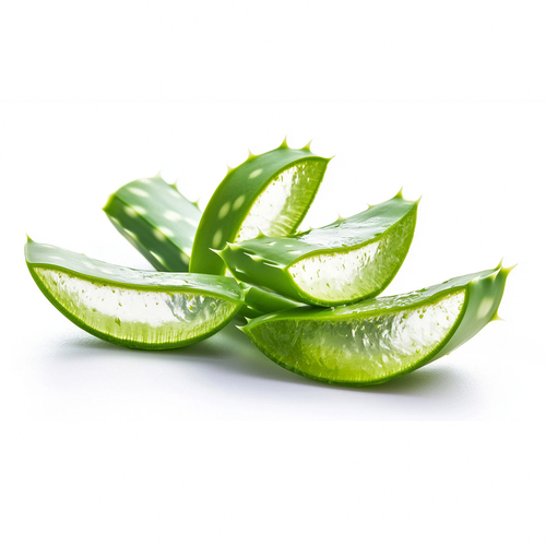 قطع صبار مقطعة