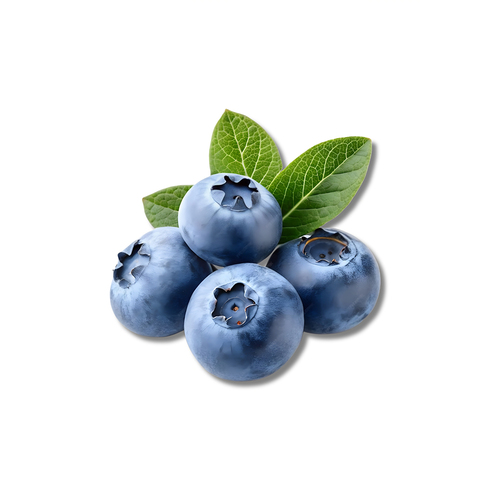 خلطة البلوبيري