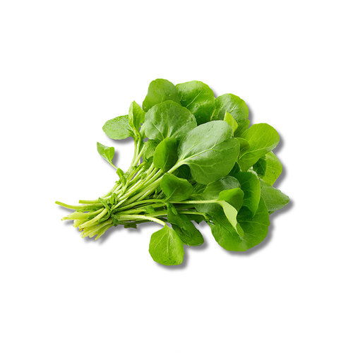 خلطة الجرجير