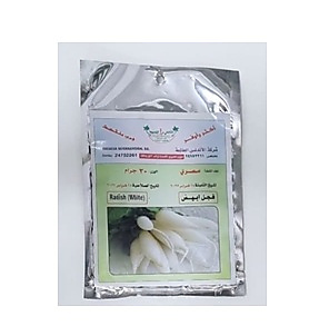 بزور فجل ابيض  30 جرام