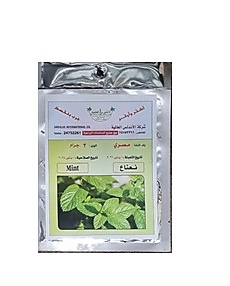 بزور نعناع 2 جرام