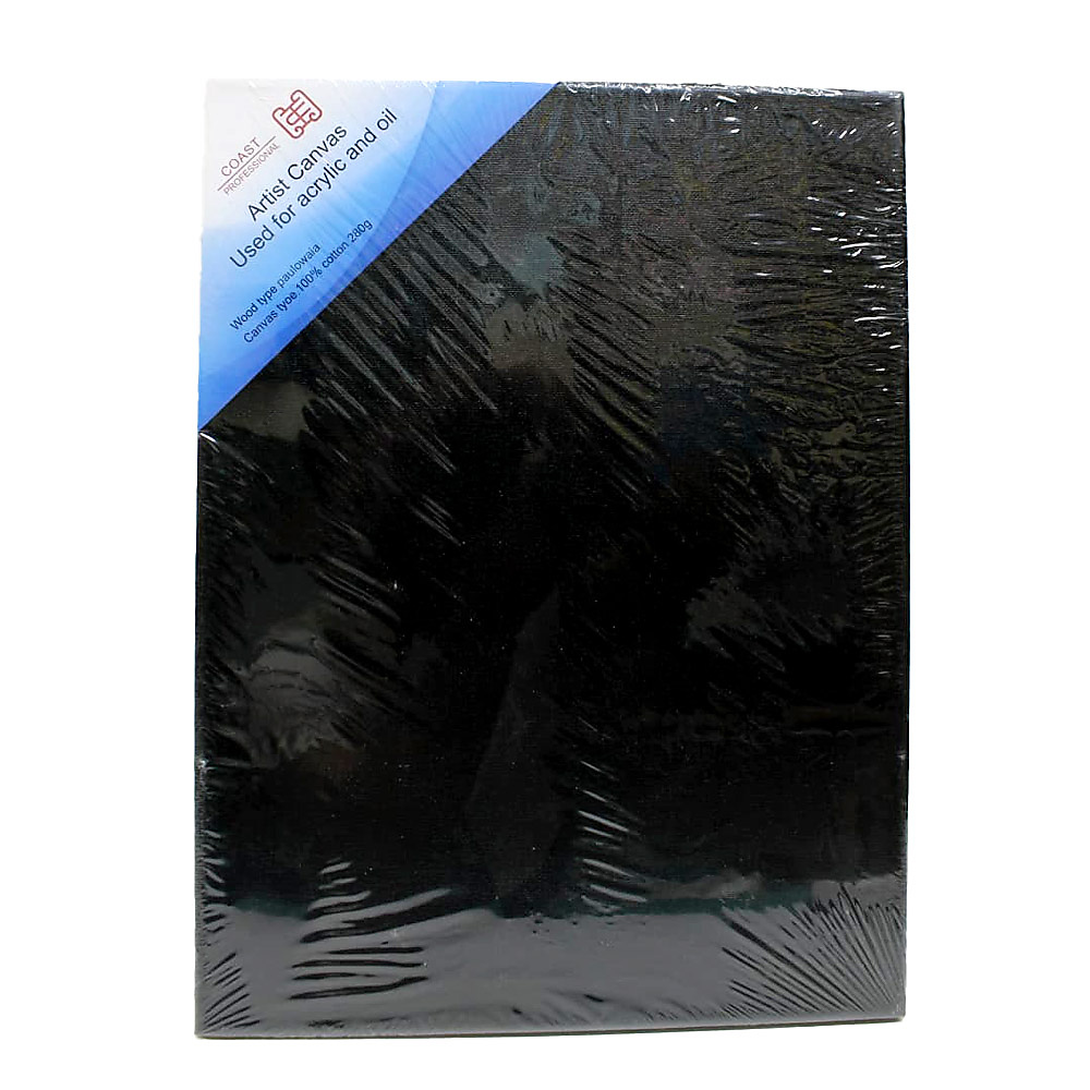 Coast Professional Black Stretched Artist Canvas-30x40cm