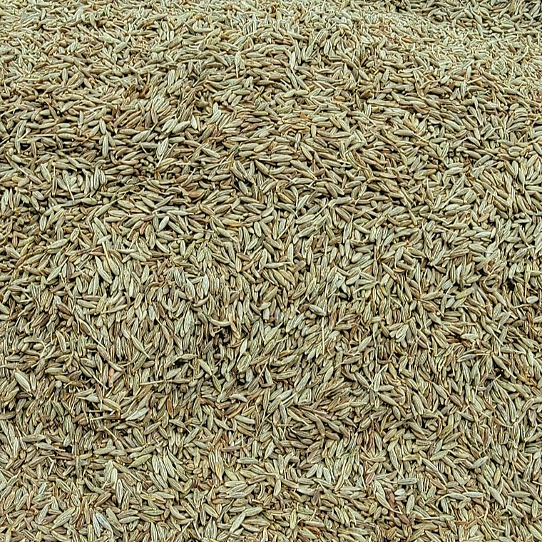 seeds cumin
