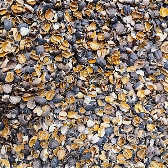 coffee husks