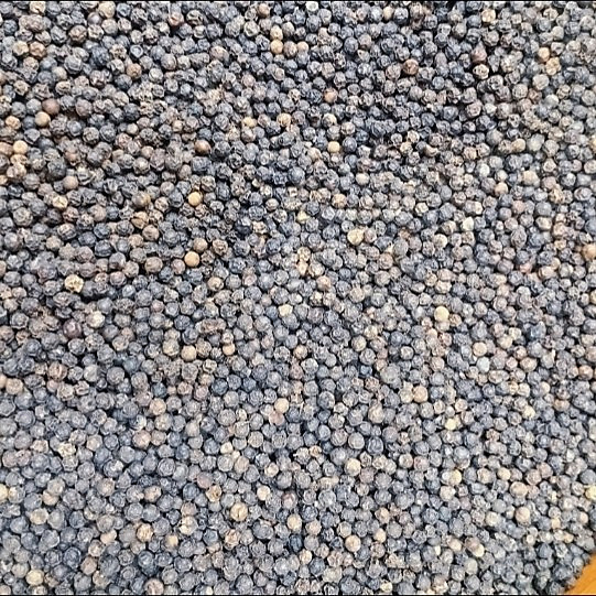 black pepper love