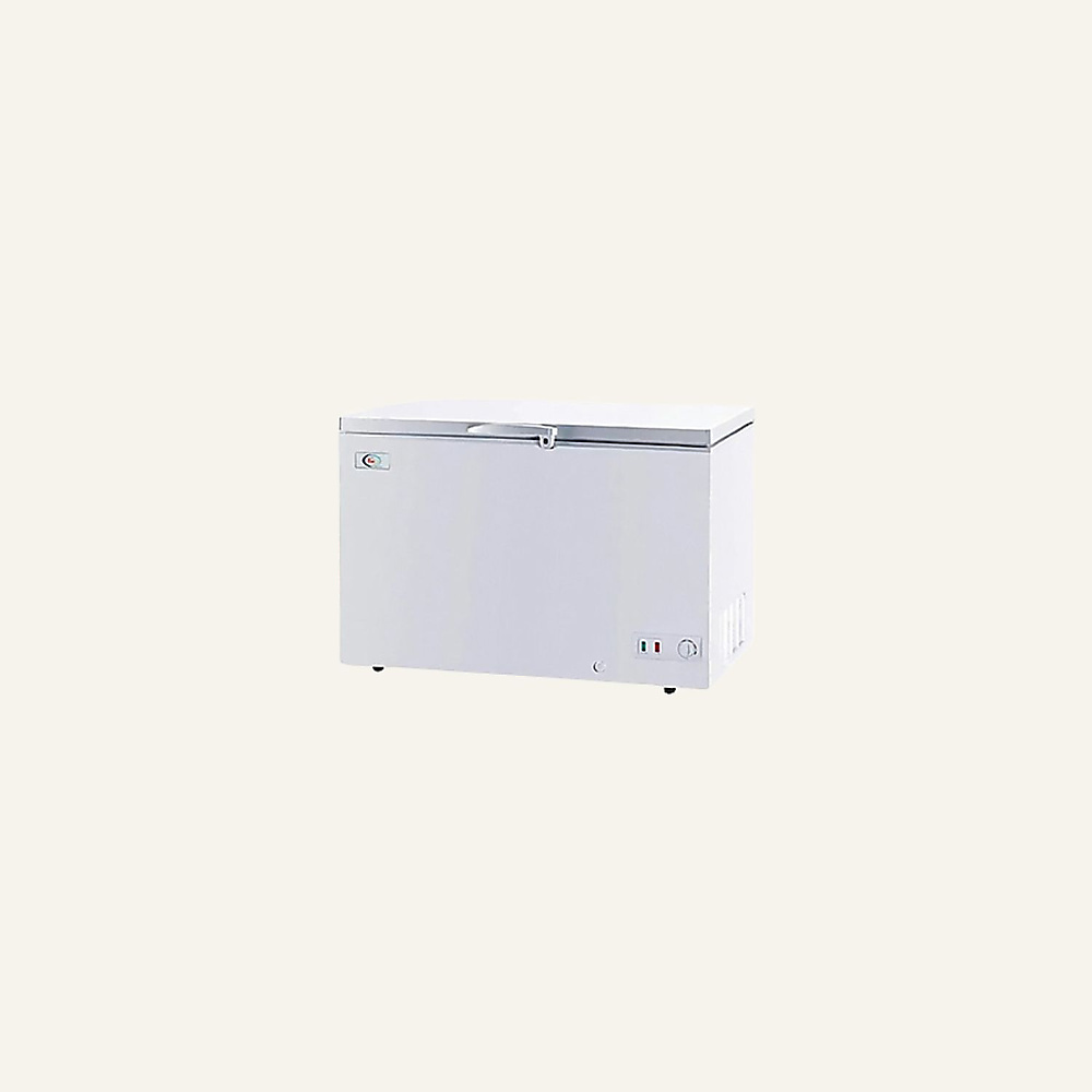 LC Freezer 16 Feet Capacity 450 Liters