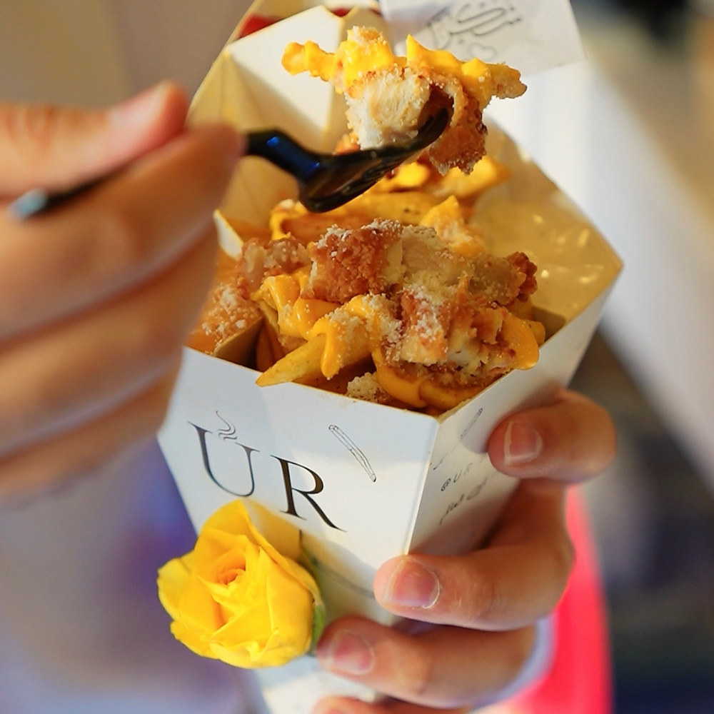 Ur Destination French Fries with Chicken