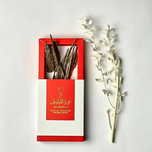 Indian Asami Oud for Occasions