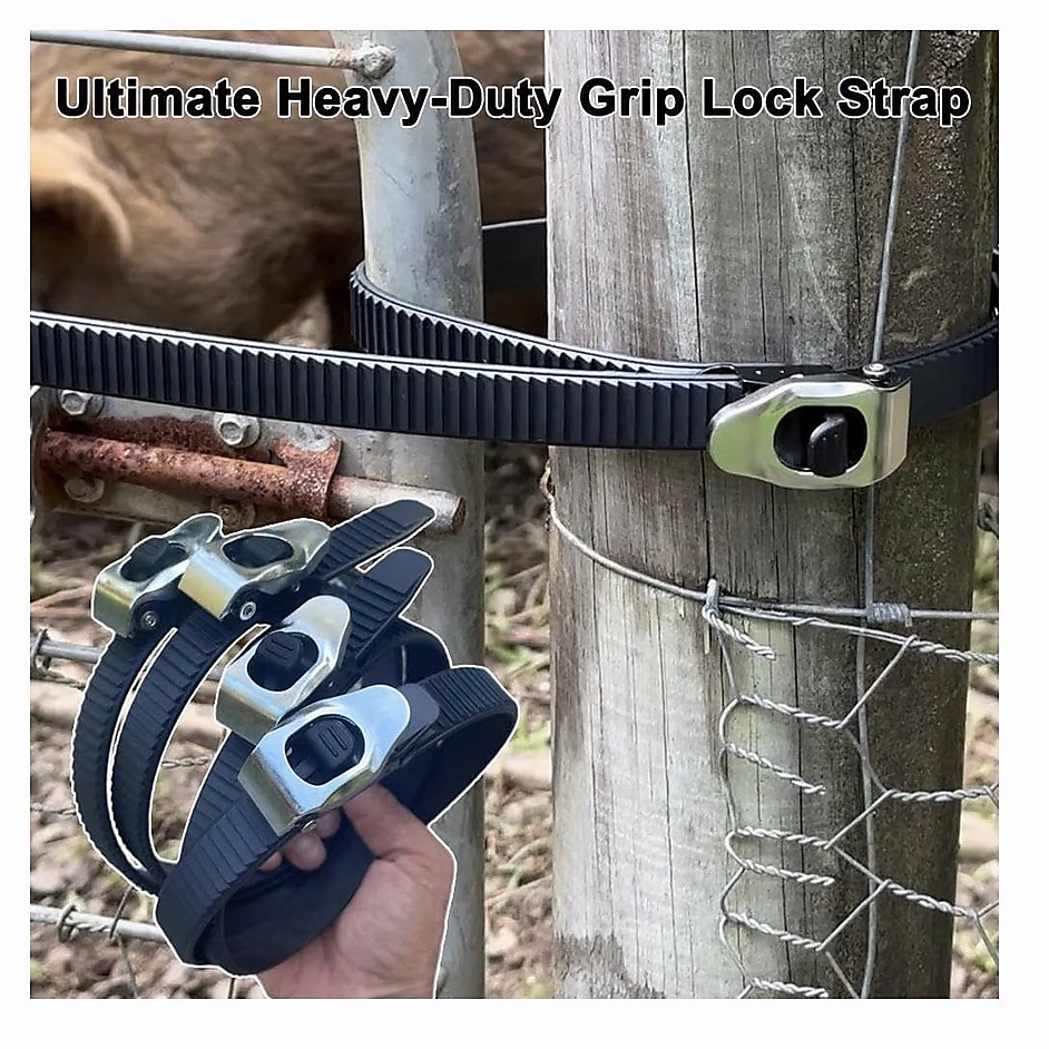 حزام شد وتثبيت - قطعتين