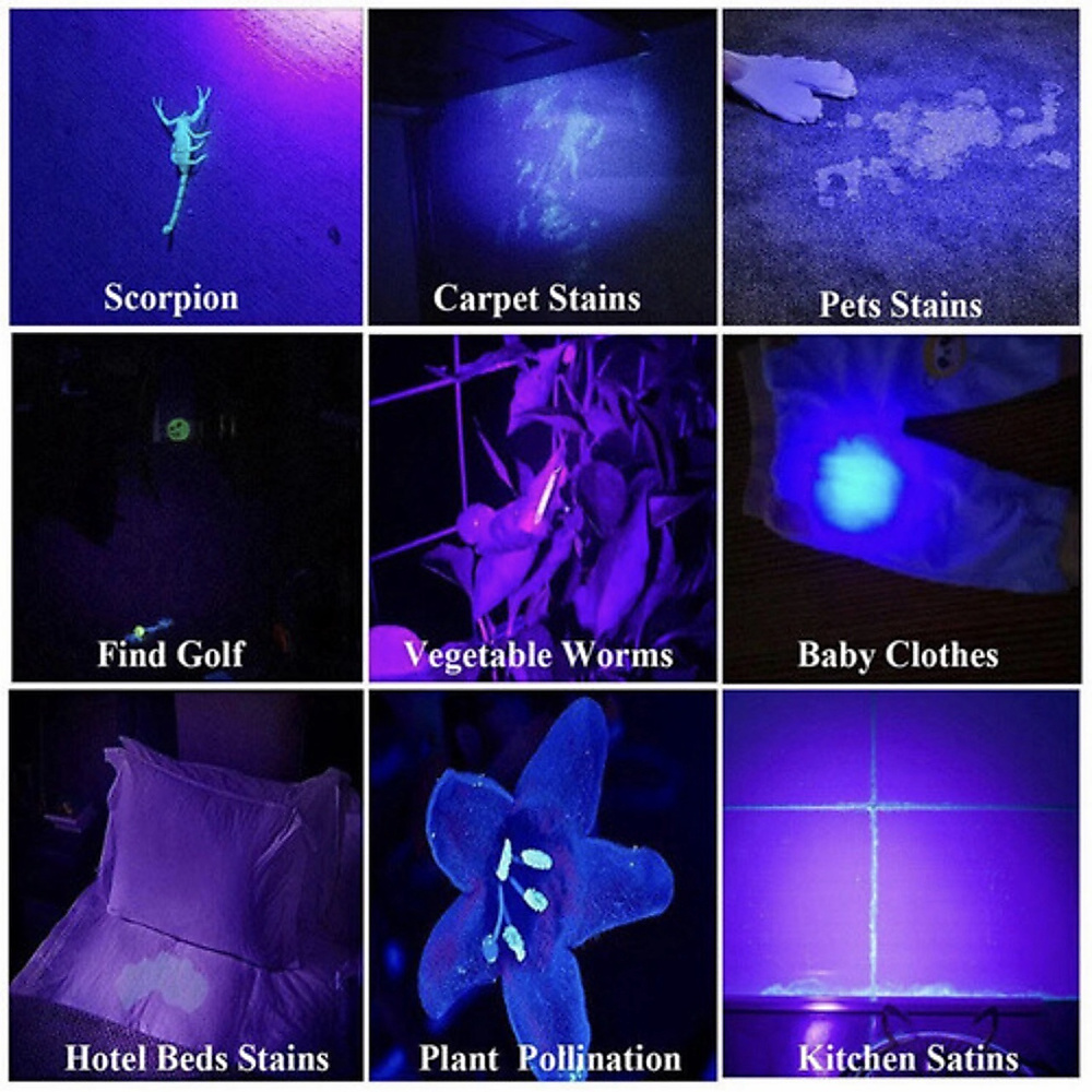 مصباح UV
