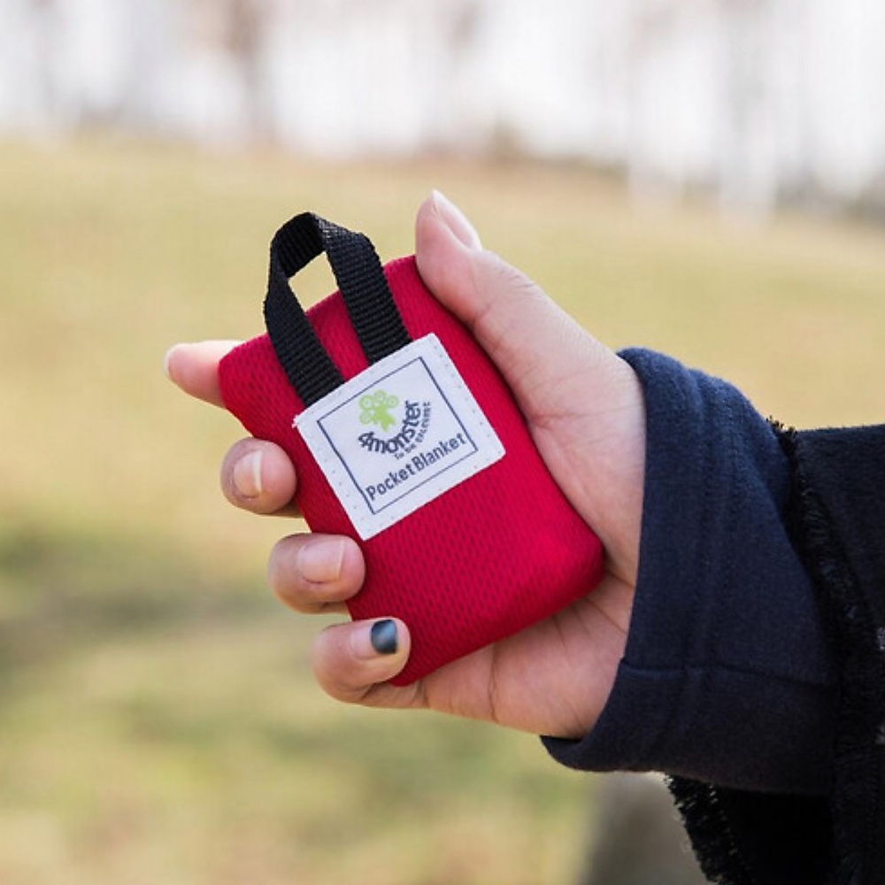 Compact Pocket Blanket