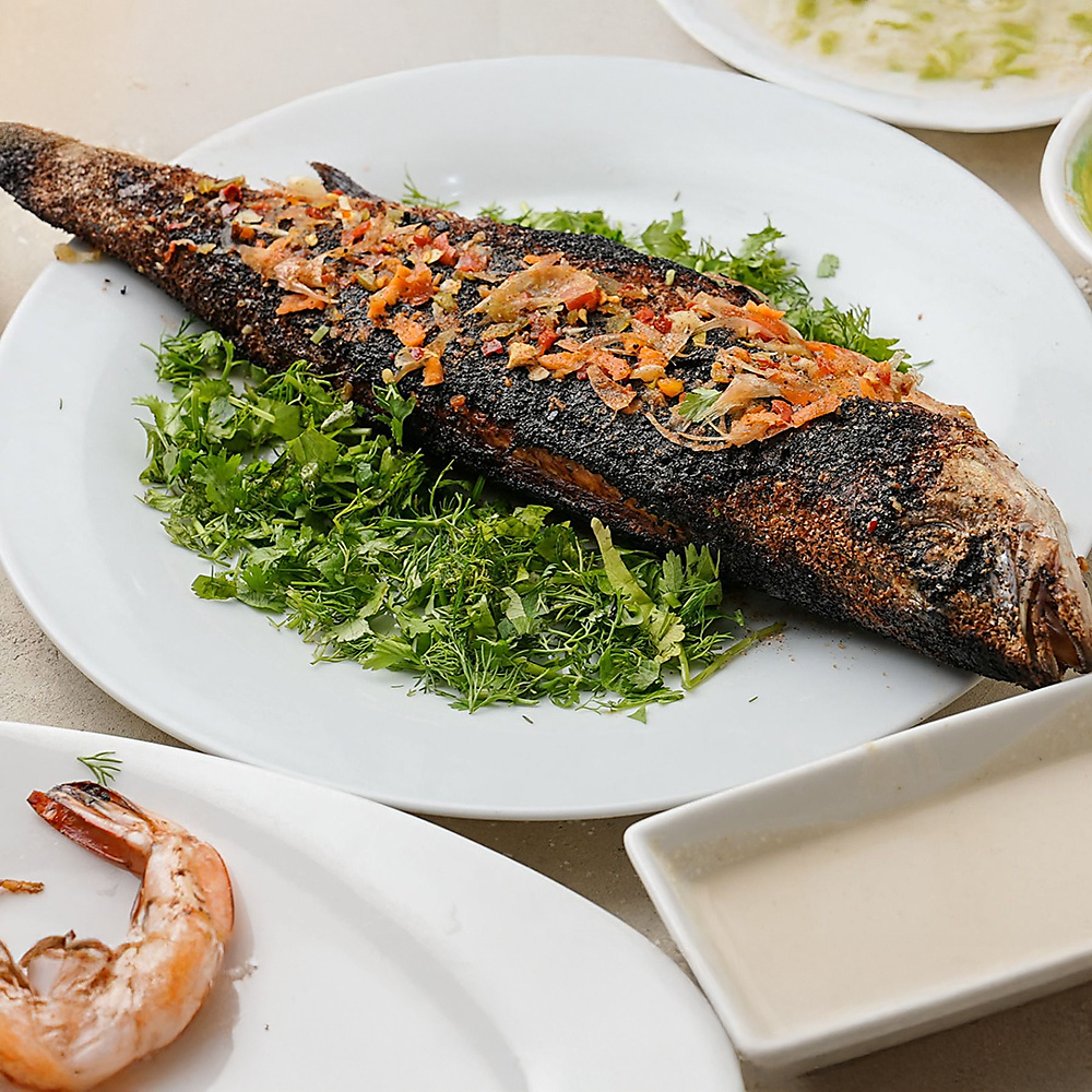 Grilled Mullet