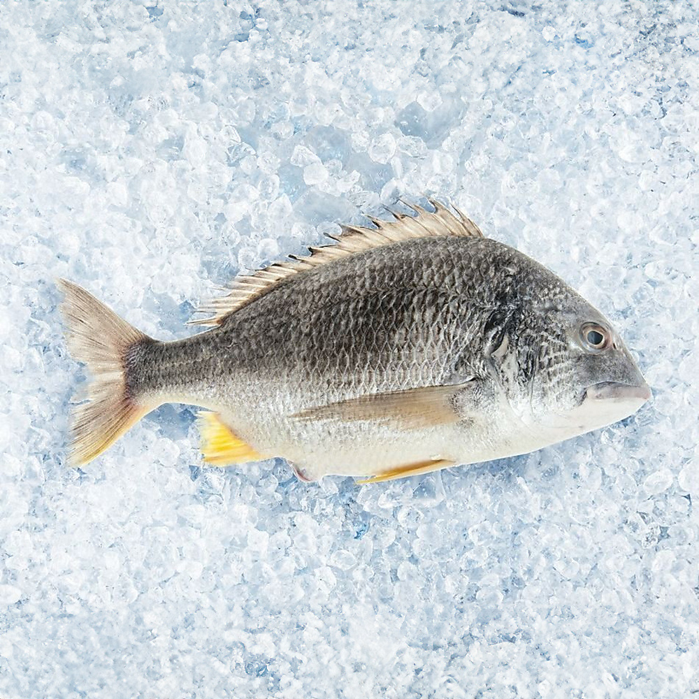 Shaoum Fried 600 G 1 Piece