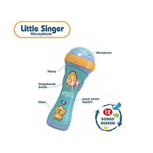 ميكروفون المطرب الصغير