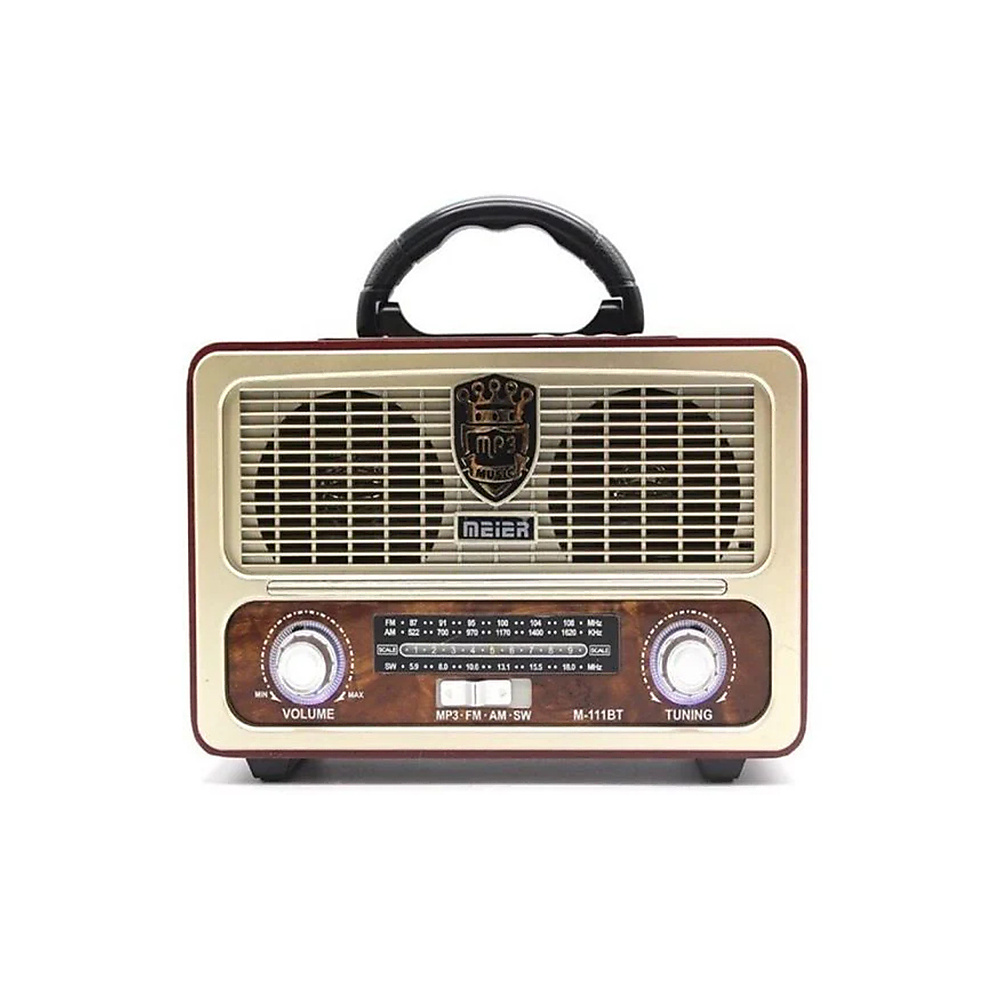 2-In-1 Bluetooth Radio And Speaker With Remote Control – Multicolor