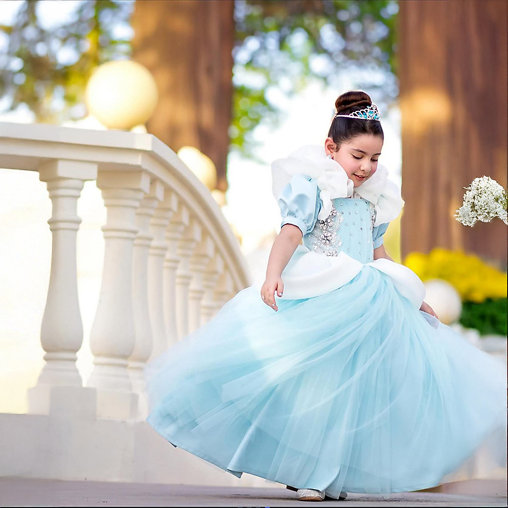 Princess Dress