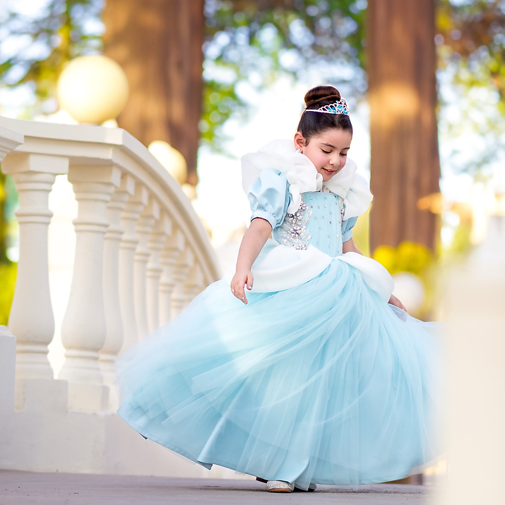 Princess Dress