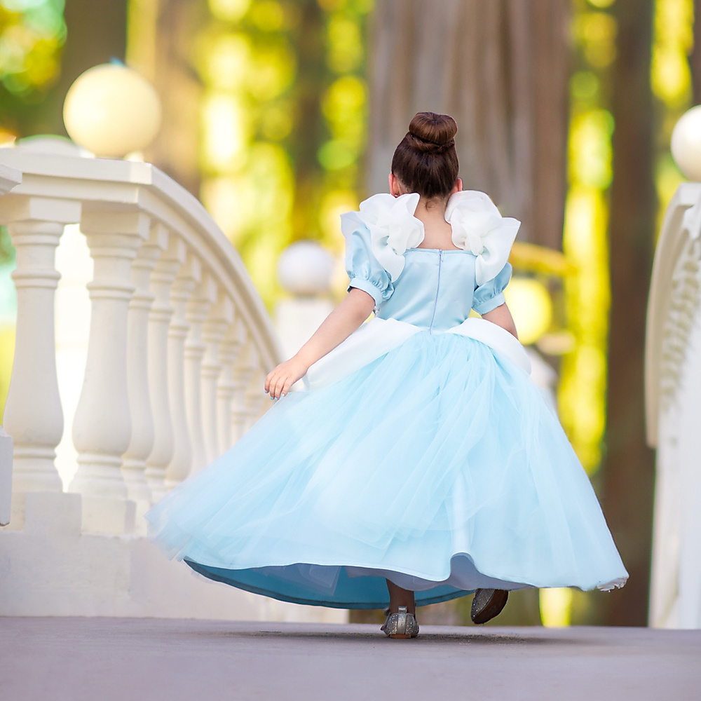 Princess Dress