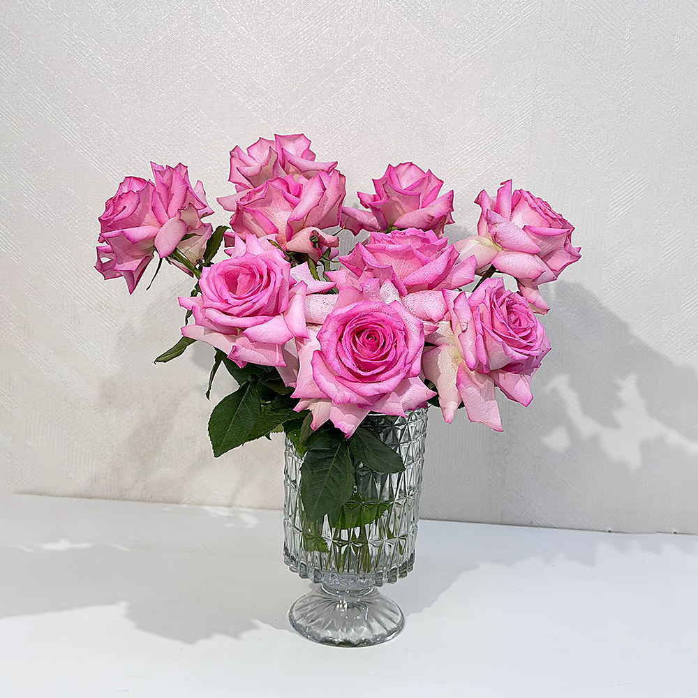 Gift of every one fresh flower Light pink roses in a crystal glass vase