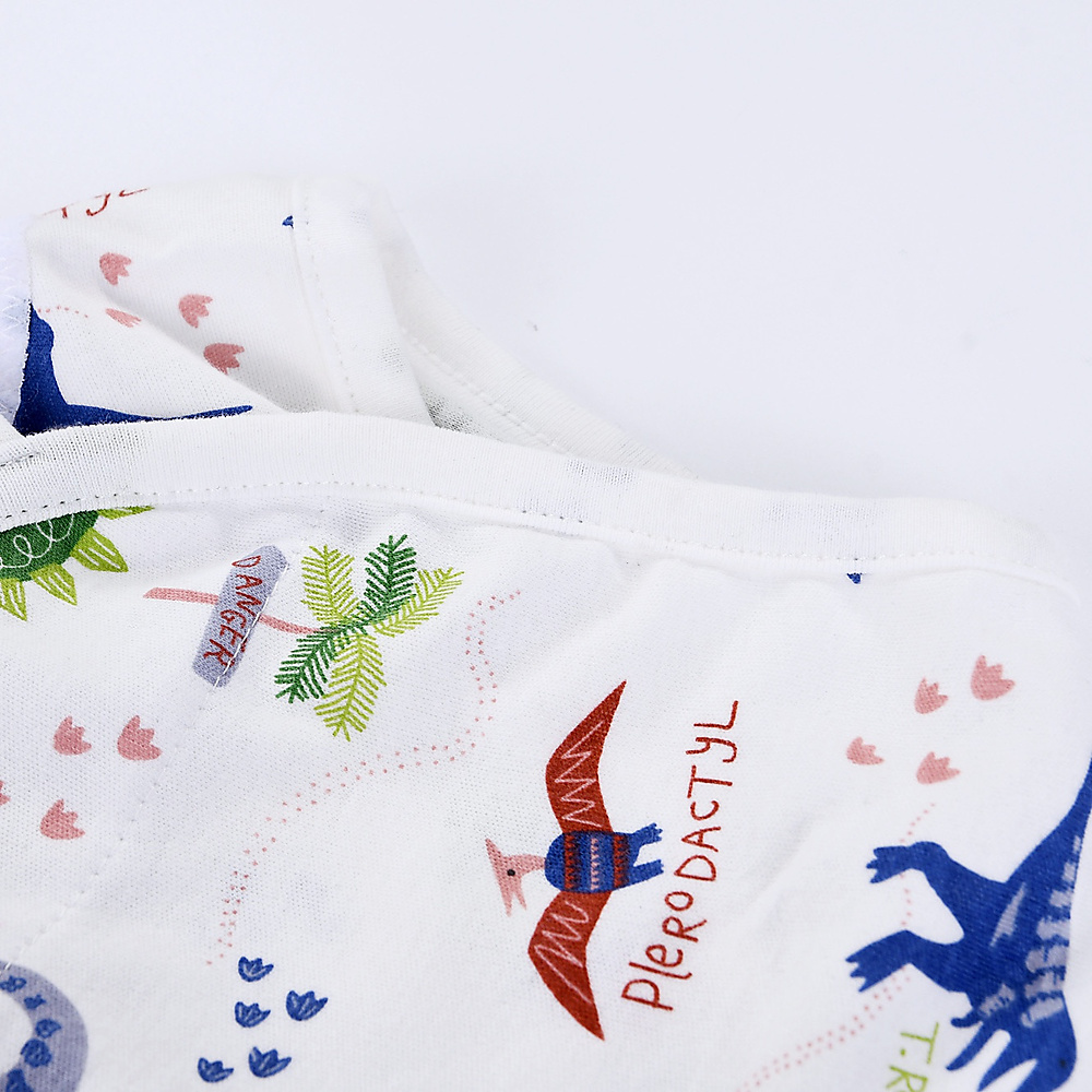 Dinasour swaddle