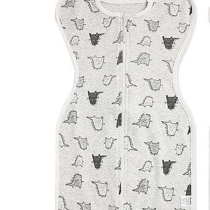 zipped swaddle- cute dinasaur