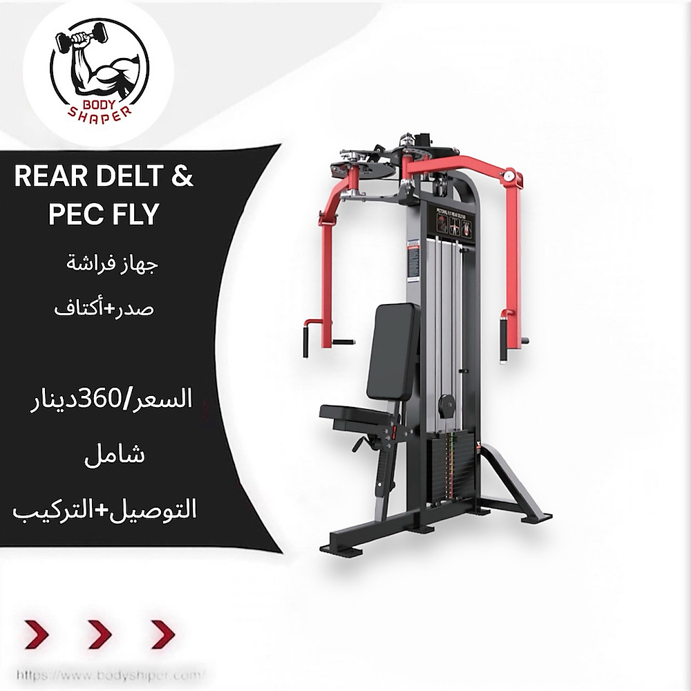 REAR DELT & PEC FLY